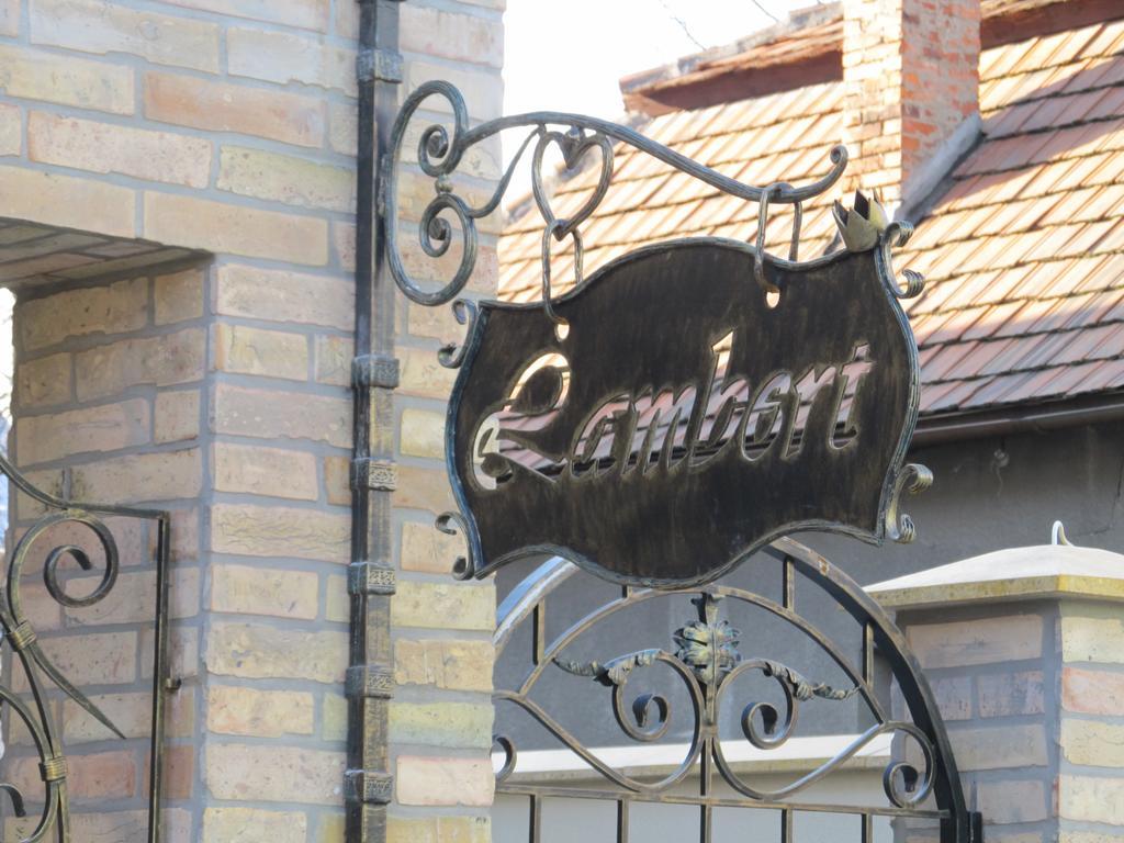Family House Lambert Hotel Beregovo Exterior foto